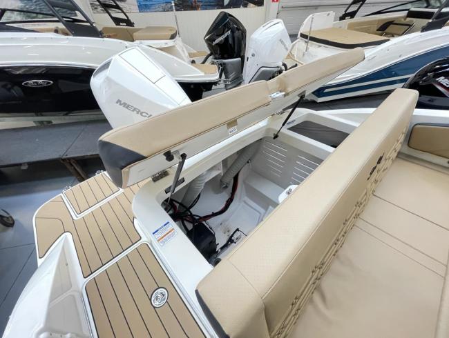 Searay 210 SPX 2024 Outboard Searayboats motorboot te koop 2dehands