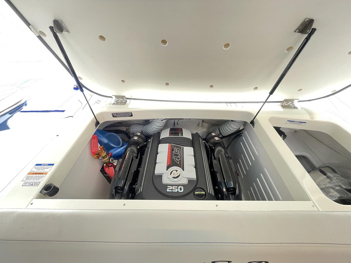 Sea Ray 190 SPX 2020 bij Belgian Boat Service