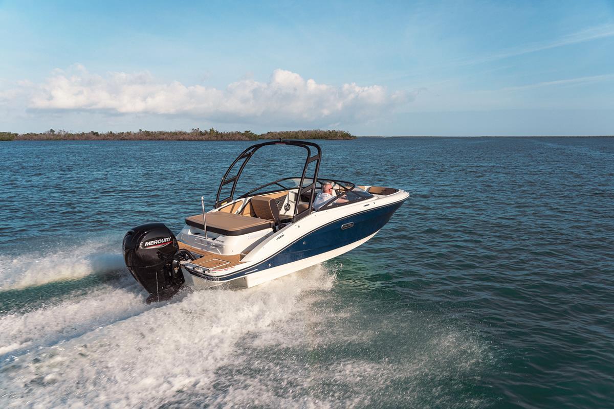 Sea Ray 190 SPX Outboard 2020 bij Belgian Boat Service