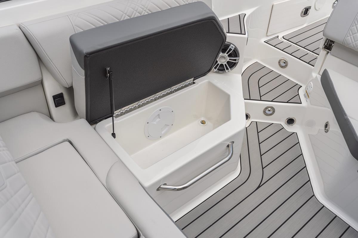 Sea Ray 250 SDX Outboard 2020 bij Belgian Boat Service