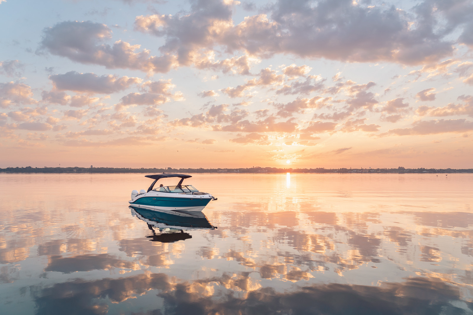 Sea Ray 280 SLX Outboard 2020 bij Belgian Boat Service