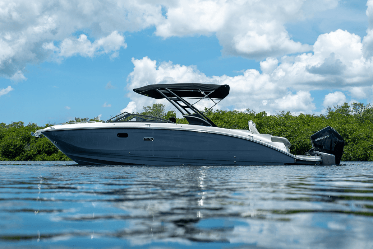 Sea Ray 290 SDX Outboard 2020 bij Belgian Boat Service