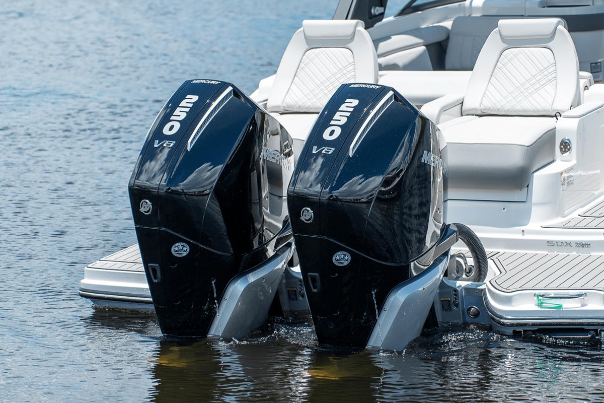 Sea Ray 290 SDX Outboard 2020 bij Belgian Boat Service